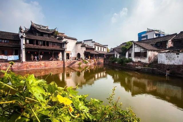 高校回应老鼠在食品架子上乱跑!具体是如何回应的?-专业问答网站,助您解决疑惑